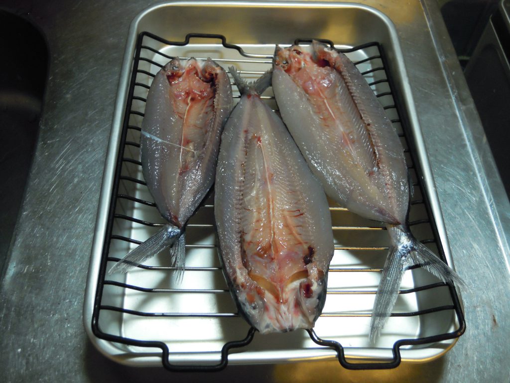 バットに魚焼きグリルの網とホソトビウオを載せ、冷蔵庫で乾燥させる