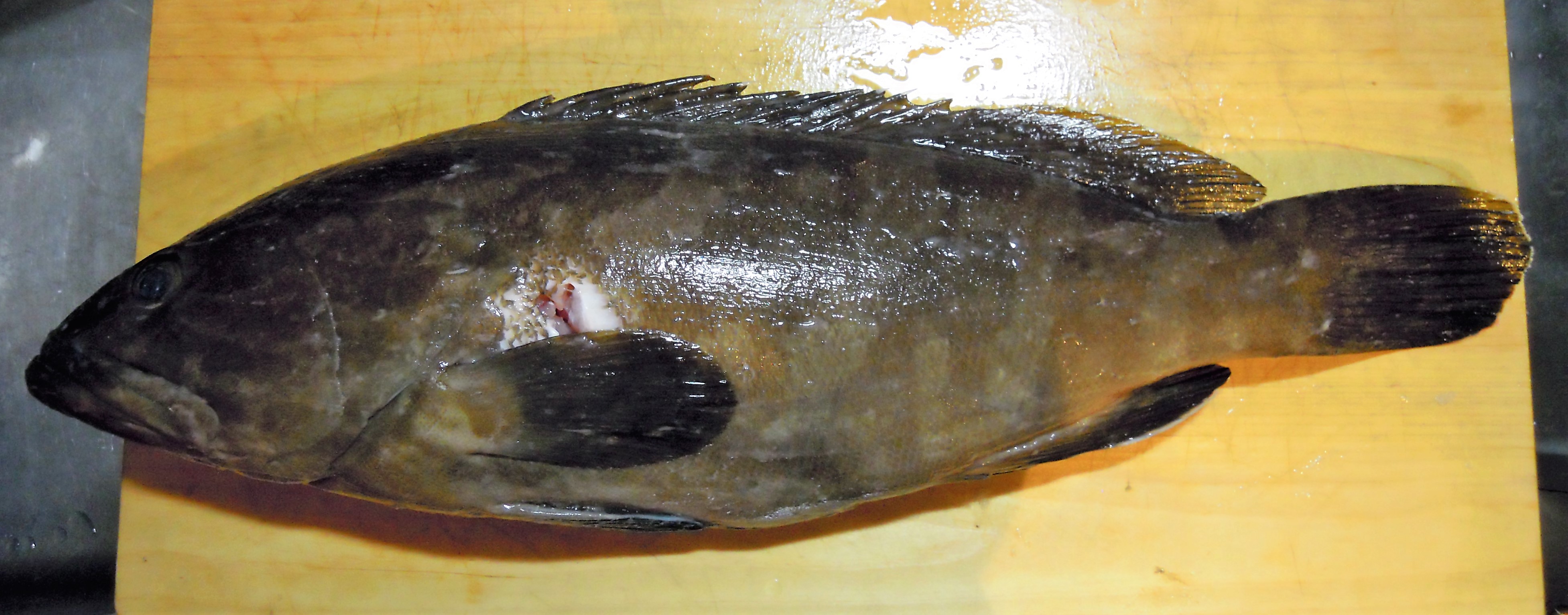 隠し切れない高級魚の風格 クエの内臓 ウロコ御膳 まるサバごはん
